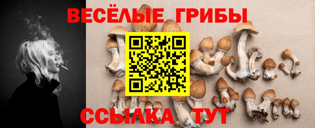 Галлюциногенные грибы прущие грибы  Вход с VPN  Омск 