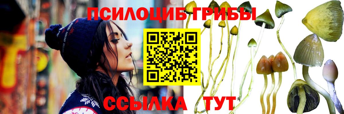 Галлюциногенные грибы ЛСД Омск